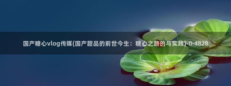 糖心vlog破解免费