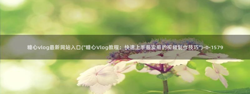 糖心传媒vlog