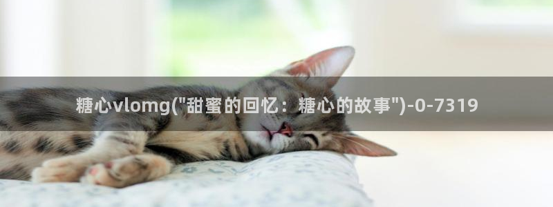 糖心vlog网站观看