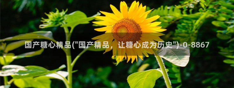 糖心vlog免费版本