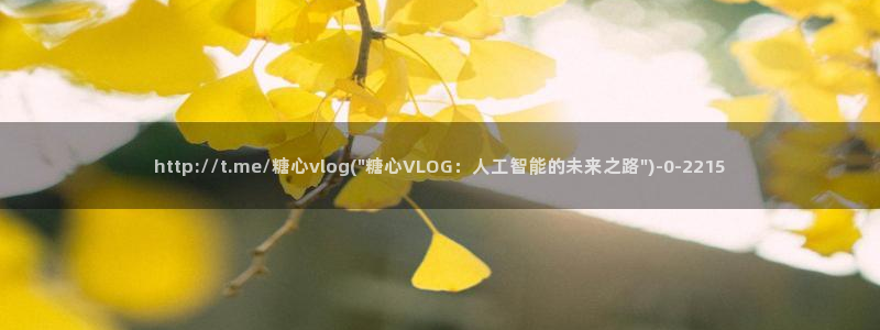 糖心vlog不用下载