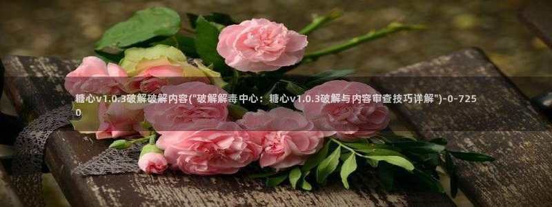 心糖vlog原创