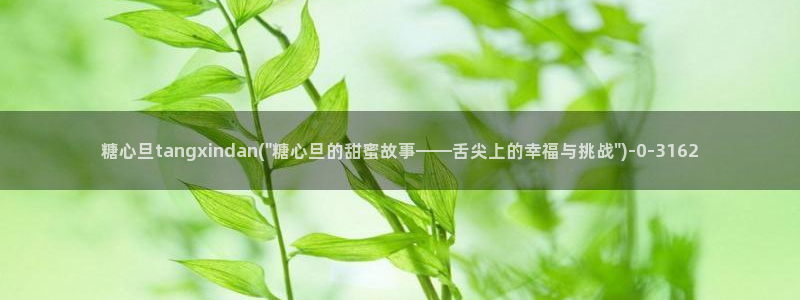 糖心破vlog解版
