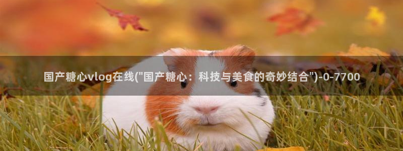 糖心vlog深夜释放自己ios