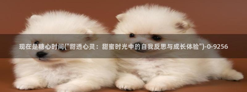 糖心vlog 多乙