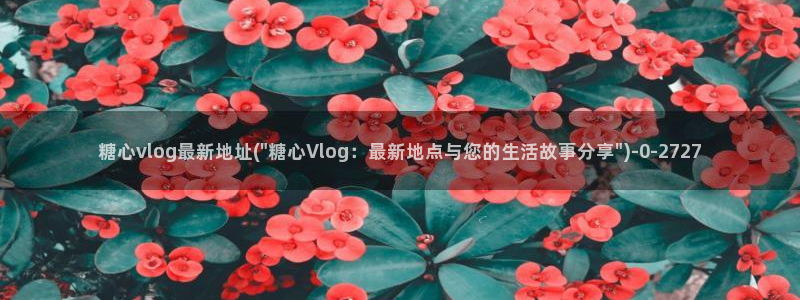 糖心vlog正版