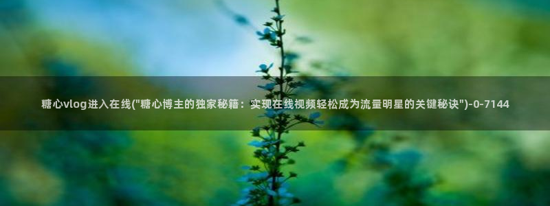 糖心vlog破